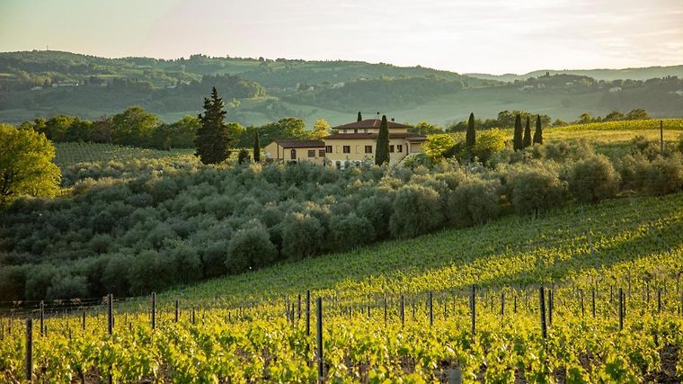 PODERE SAN MICHELE SAN GIMIGNANO Italia da 401